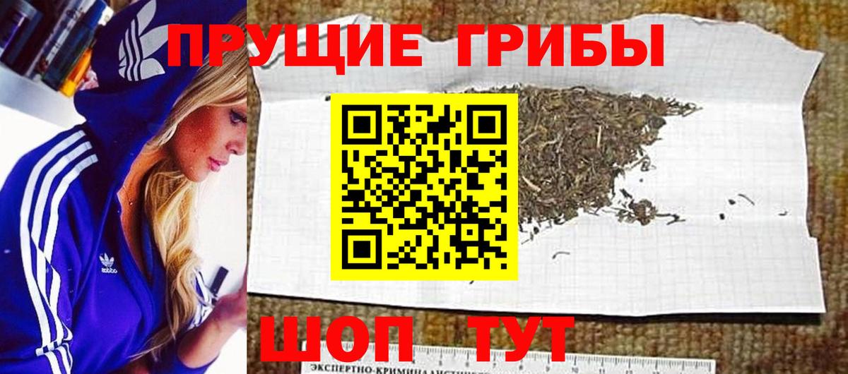 Псилоцибиновые грибы MAGIC MUSHROOMS  Псилоцибиновые грибы Cubensis  Вход с VPN  Зеленокумск 