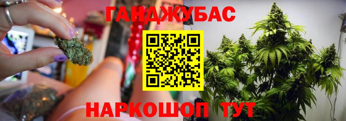 Зеленокумск  Шишки марихуана конопля  Вход с VPN  Бошки марихуана план  Каннабис сатива 